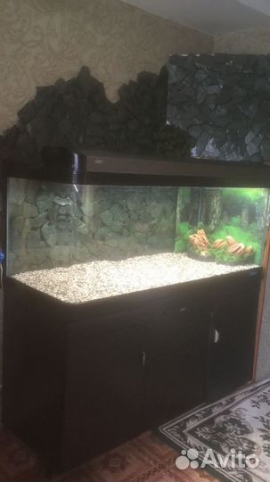Аквариум