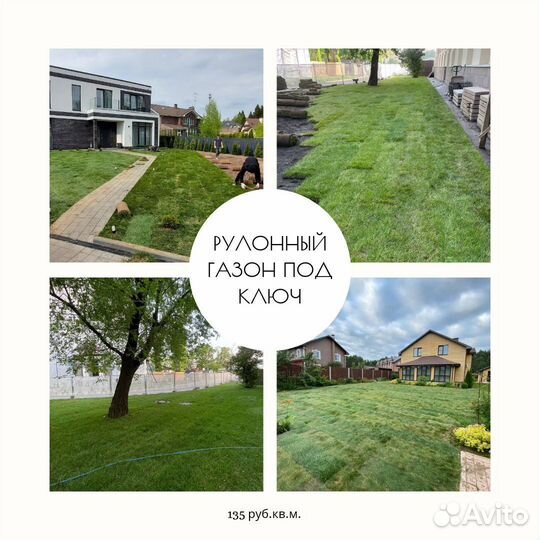 Рулонная газонная трава