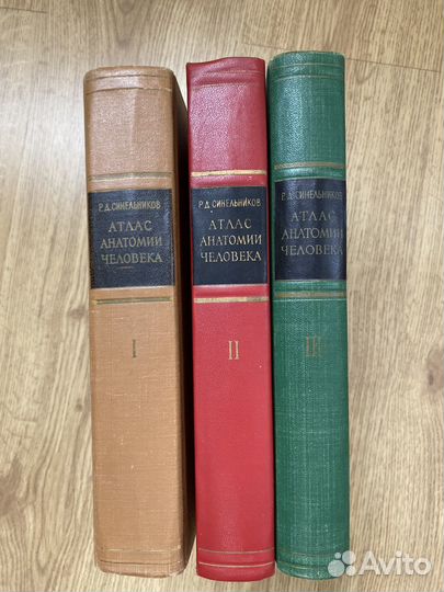 Атлас анатомии человека синельников