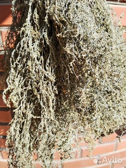 Мазь от псориаза