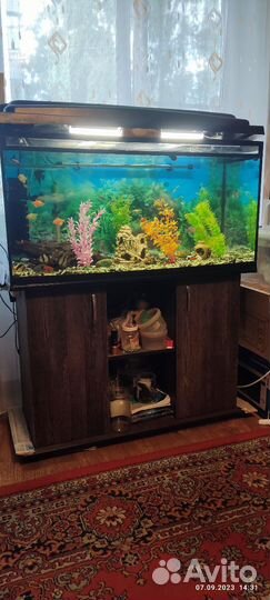 Аквариум тумба содержимое и все аксессуары к нему