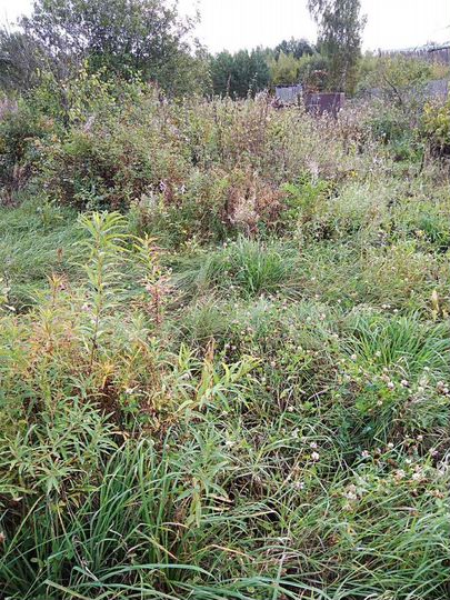 Участок 15 сот. (ИЖС)