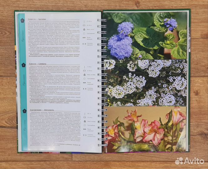 Книга Миллиoн цветов на вашeм учаcтке