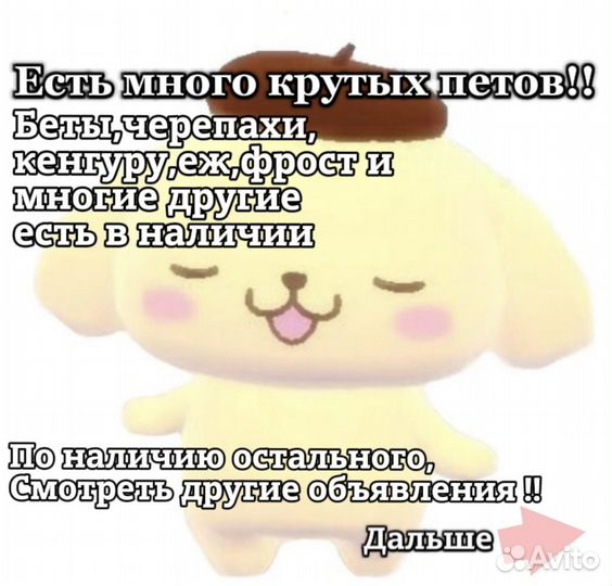 Петы в адопт ми