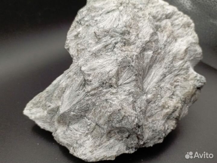 Солнышки Пектолита