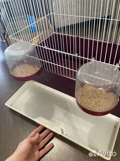 Клетка для птиц с купалкой и кормушкой