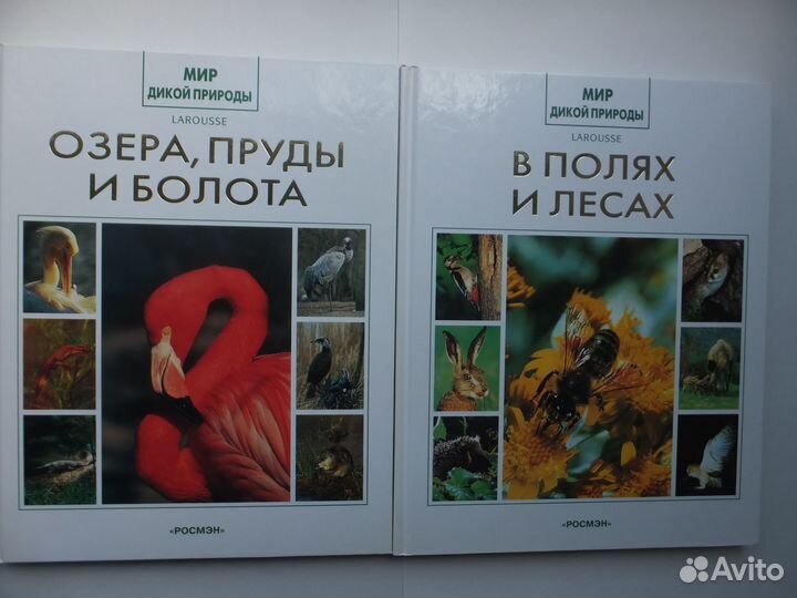 Мир дикой природы Энциклопедия Книги Изд. Росмэн