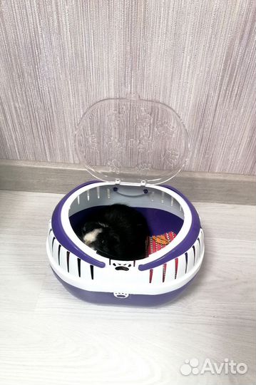 Переноска для грызунов