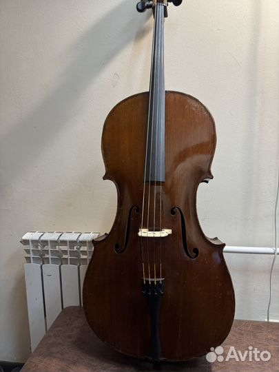 Виолончель 4/4