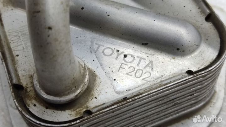 Радиатор масляный Toyota Camry 70 M20afks 2021