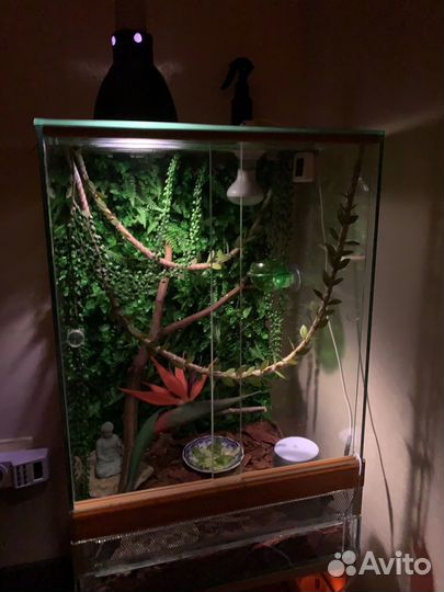 Террариум для хамелеона