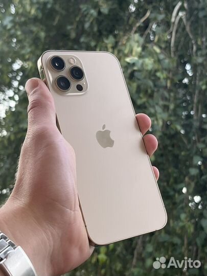 iPhone 12 Pro Max Gold