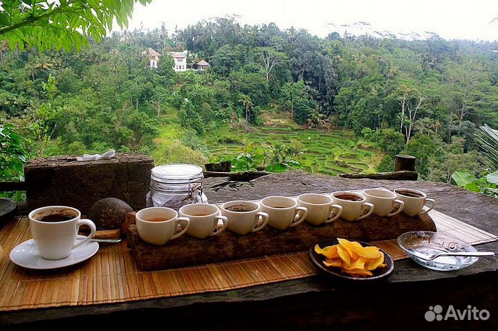 Готовый бизнес. Кофейня. Секрет Бали