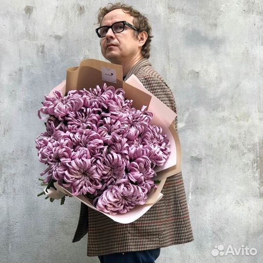 Купить хризантемы для дома