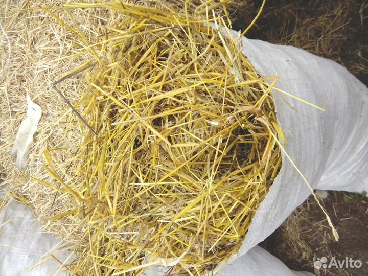 Солома-подстилка