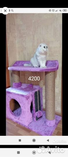 Домик для кота