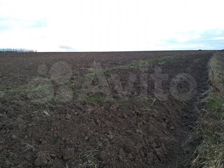 Участок 15,2 га (СНТ, ДНП)