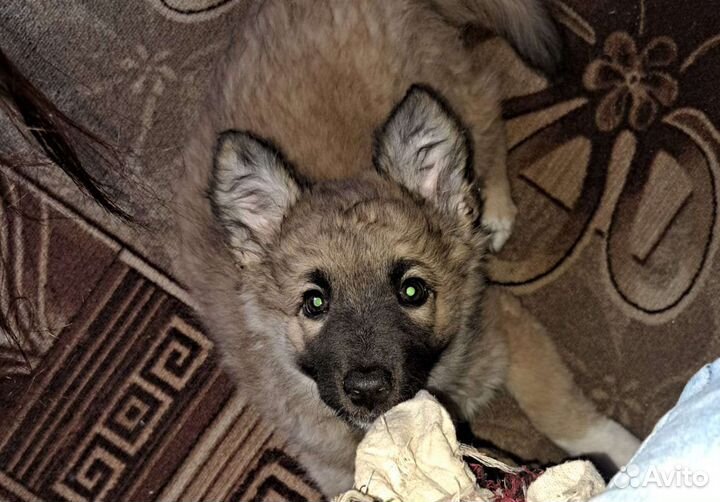 Неизвестно