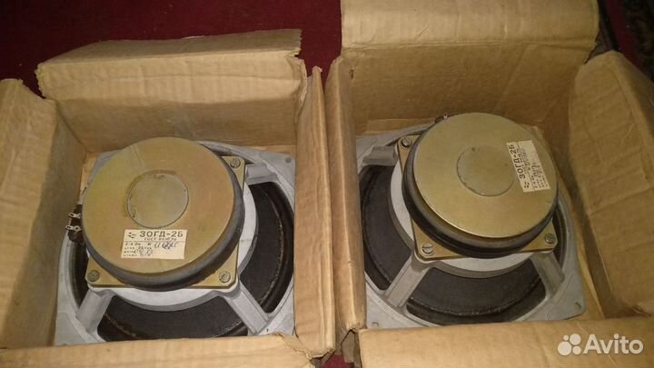 Нч динамики 75гдн