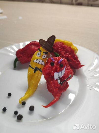 Семена самых острых перцев (суперхотов )