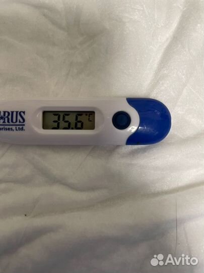 Бася уличная кошечка