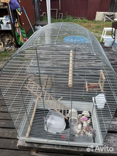 Клетка для попугая
