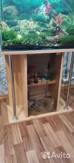 Аквариум с тумбой 100 литров
