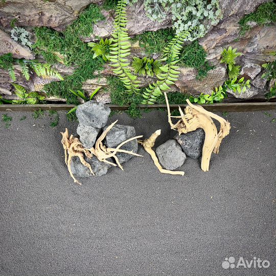 Коряга для аквариума Корень Азалии (нк335)