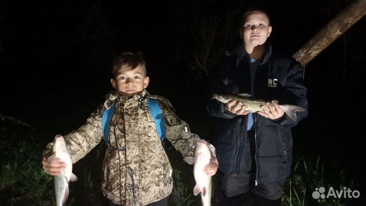 Рыбалка с гидом на Десногорском водохранилище