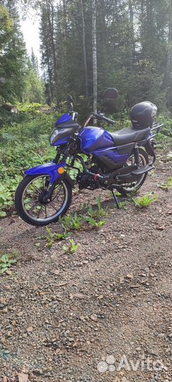 Продам мопед Альфа промакс