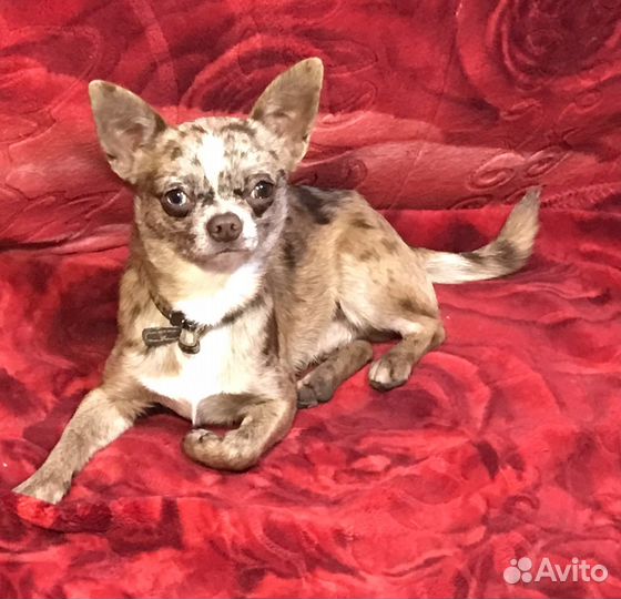 Мальчик с документами