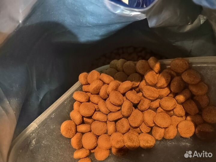 Сухой корм для собак royal canin 15 кг