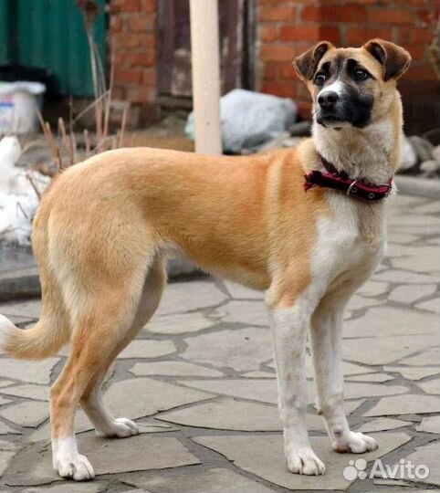 Ева ищет семью