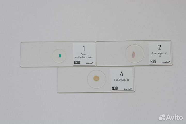 Набор микропрепаратов Levenhuk N38 NG