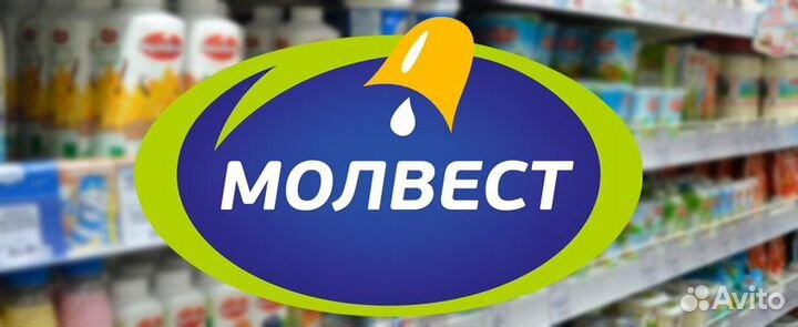 Мерчендайзер