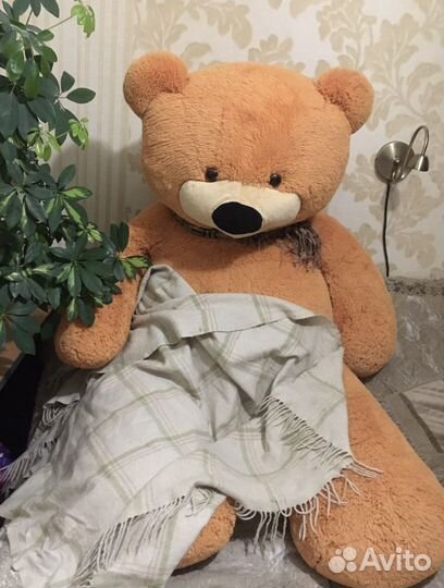 Огромный Мишка