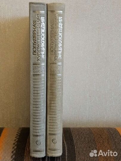 Популярная художественная энциклопедия в 2-х томах