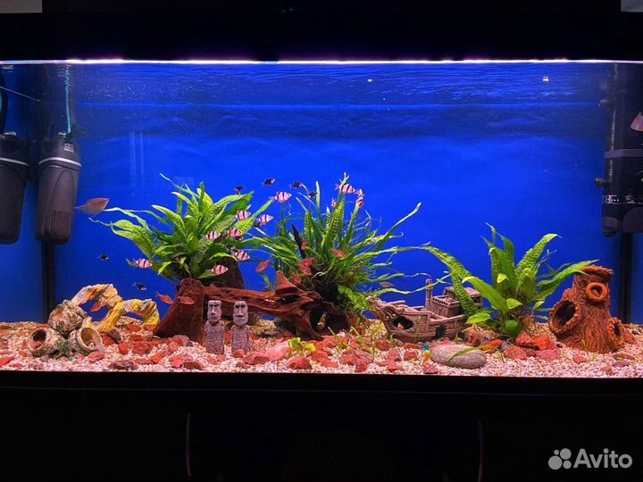 Комплект Аквариум 450 литров с оборудованием