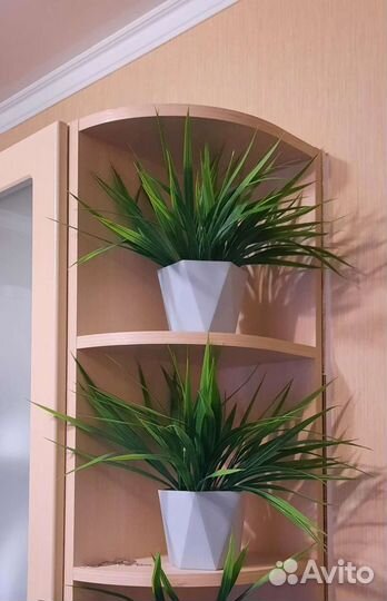 Искусственная трава