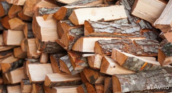 Дрова дубовые