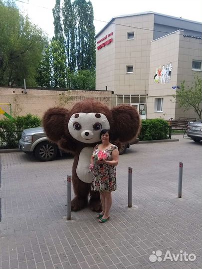 Аниматоры, чебурашка,Мишка,панда