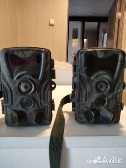 Фотоловушка