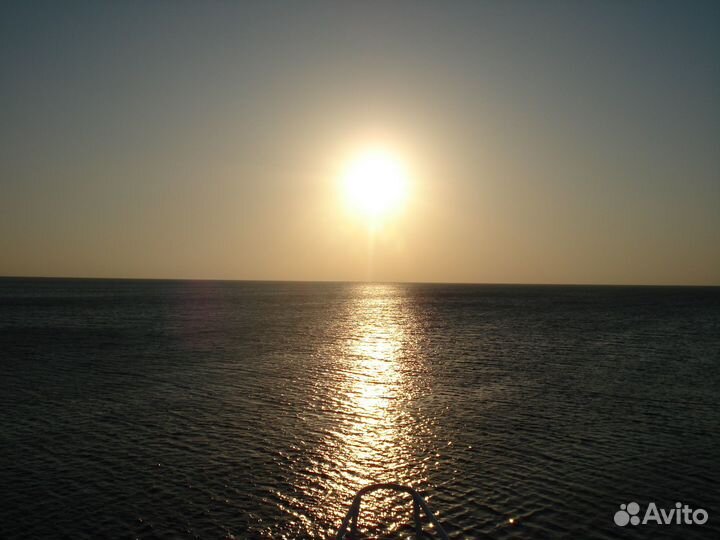 Цифровой фотоаппарат sony cyber shot