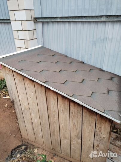 Собачья будка