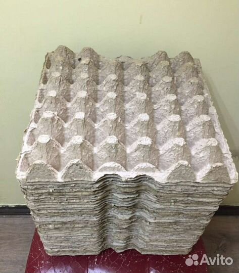 Ячейки для яиц