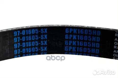 Ремень поликлиновой 6PK1605 thermo king