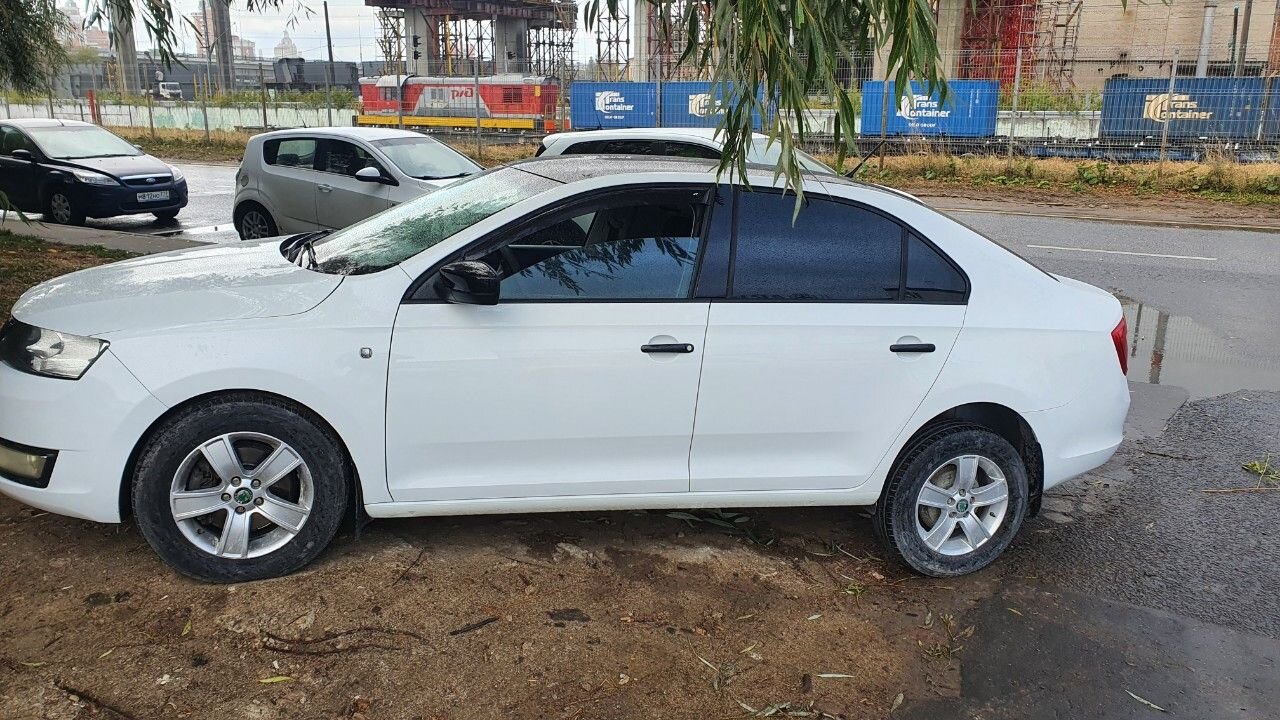 Skoda Rapid: фото владельца