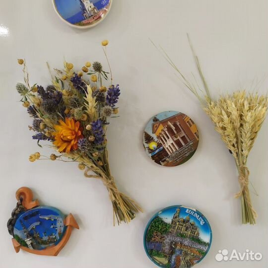 Букеты из сухоцветов