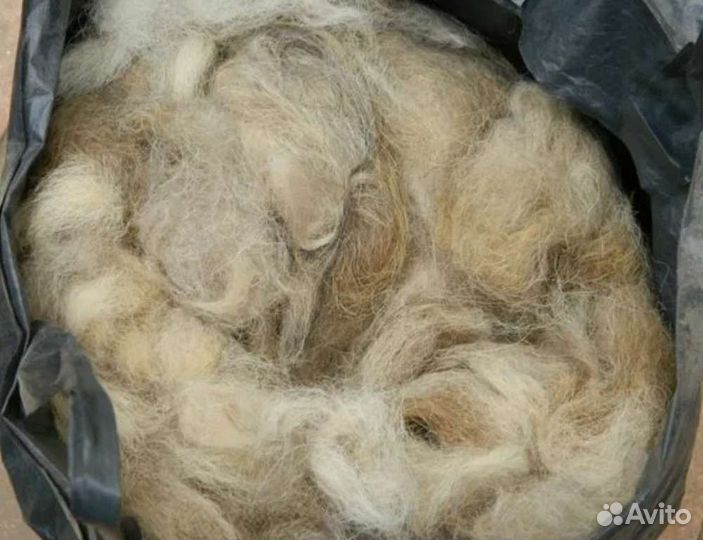 Собачья шерсть