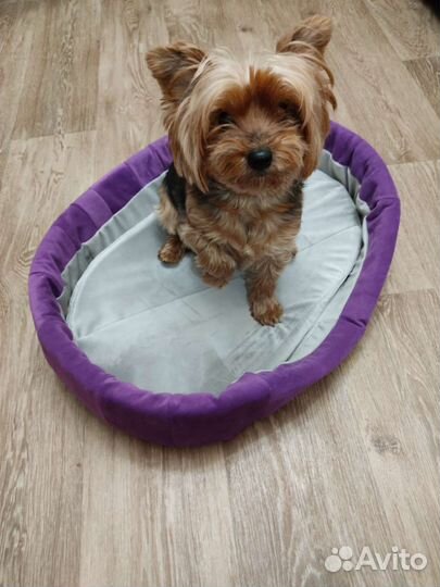 Лежанки для животных